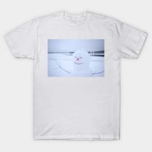 Frosty the Snowman T-Shirt